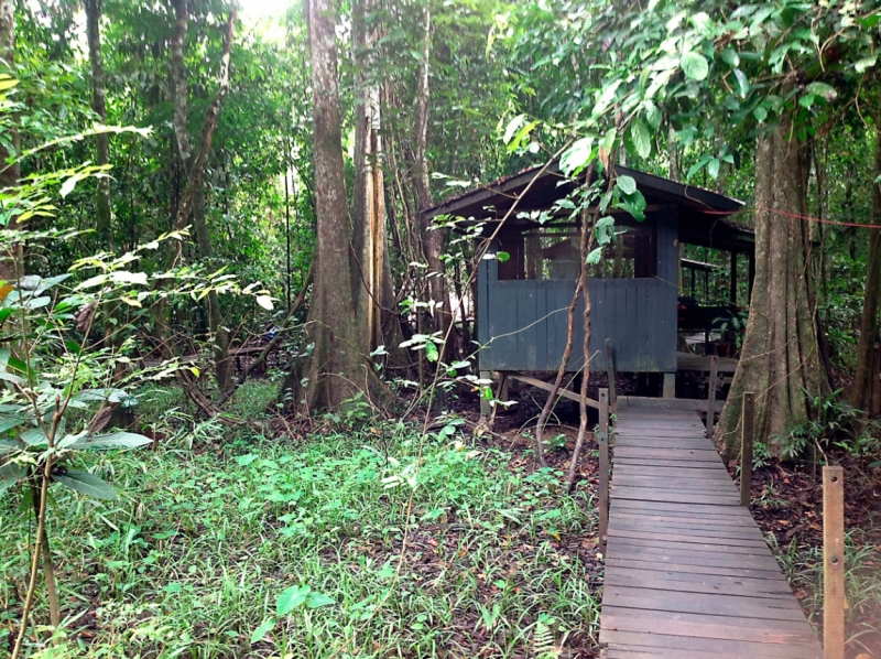 Малайзия 2013 - Борнео, Куала-Лумпур, Перхентианы - маршрут на месяц