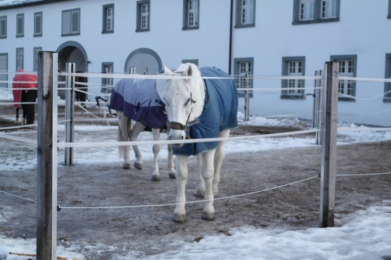 Австрия (Тироль) – Бавария – Швейцария – Прага – Львов.