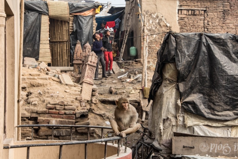 Дели, Агра, Варанаси, Джайпур, Удайпур, Керала