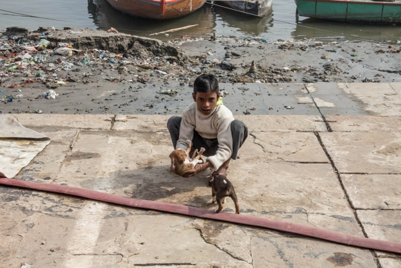 Дели, Агра, Варанаси, Джайпур, Удайпур, Керала