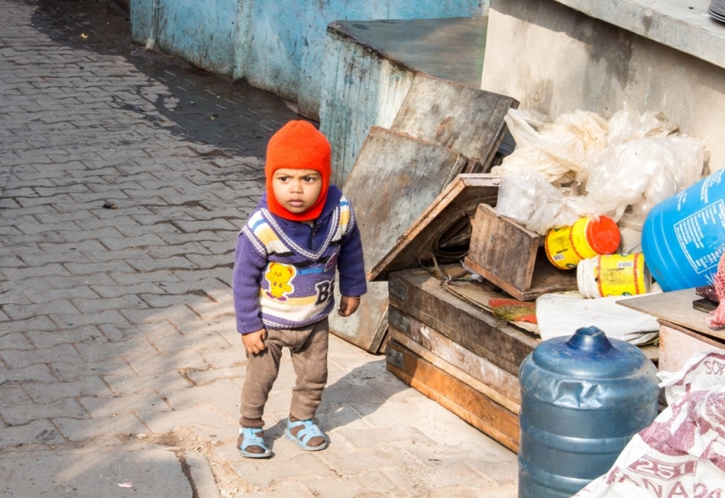 Дели, Агра, Варанаси, Джайпур, Удайпур, Керала
