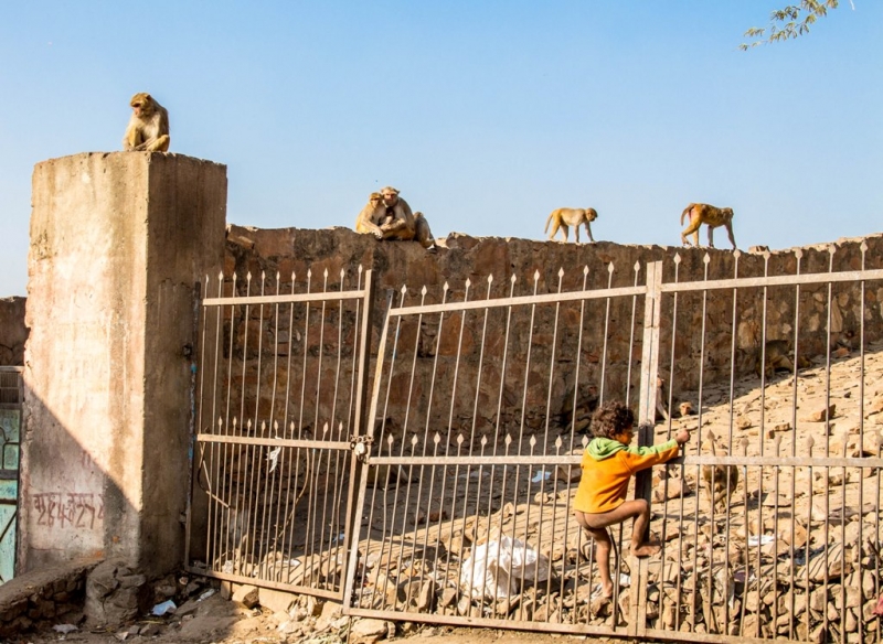 Дели, Агра, Варанаси, Джайпур, Удайпур, Керала