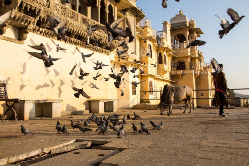 Дели, Агра, Варанаси, Джайпур, Удайпур, Керала