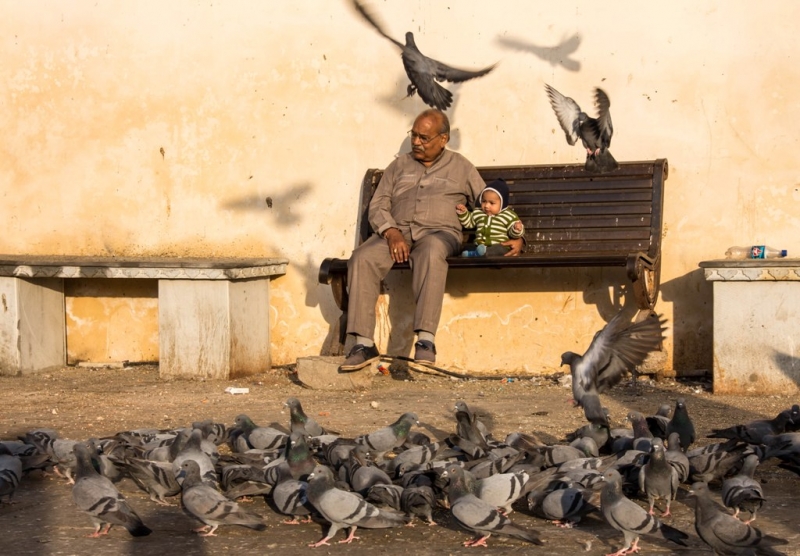 Дели, Агра, Варанаси, Джайпур, Удайпур, Керала
