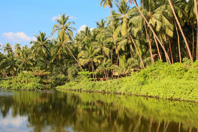Дели, Агра, Варанаси, Джайпур, Удайпур, Керала