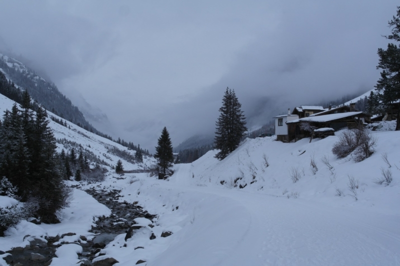 Австрия (Тироль) – Бавария – Швейцария – Прага – Львов.