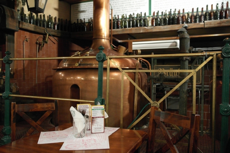 Австрия (Тироль) – Бавария – Швейцария – Прага – Львов.