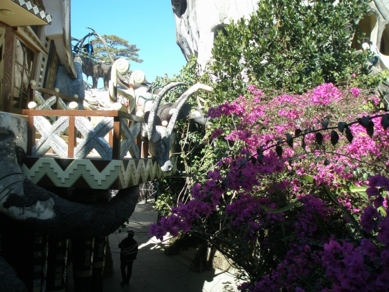 Нячанг с 06.02 по 17.02.15 "пакетом"-делюсь опытом.