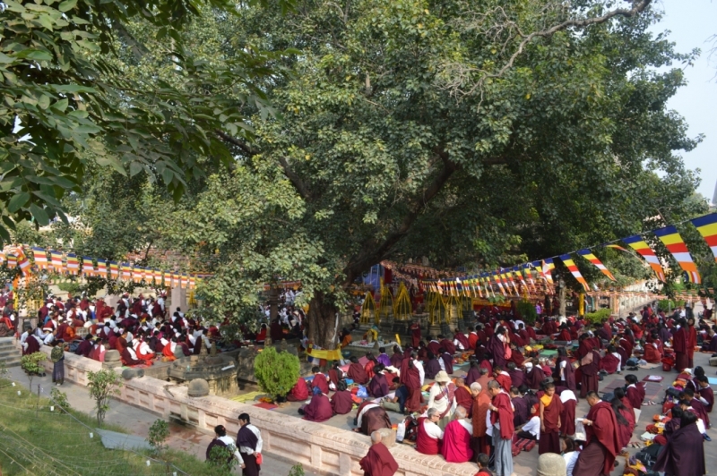 Индия 30.12.2014-11.01.2015 Агра Удайпур Кхаджурахо Варанаси Бодхгая Дели