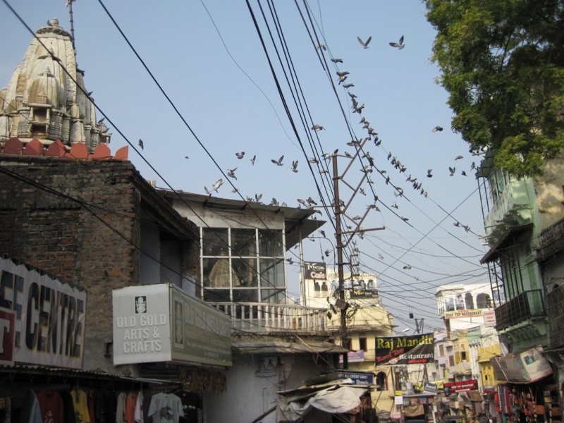 Индия 30.12.2014-11.01.2015 Агра Удайпур Кхаджурахо Варанаси Бодхгая Дели