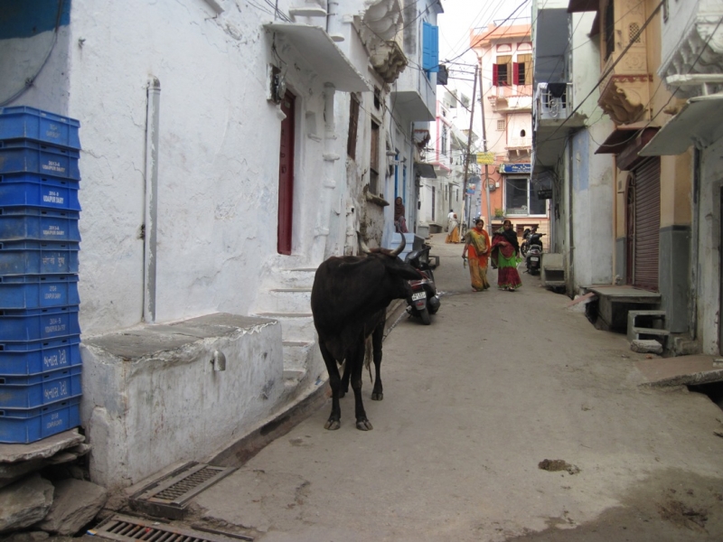 Индия 30.12.2014-11.01.2015 Агра Удайпур Кхаджурахо Варанаси Бодхгая Дели