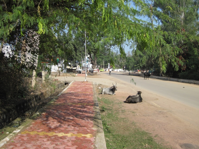 Индия 30.12.2014-11.01.2015 Агра Удайпур Кхаджурахо Варанаси Бодхгая Дели