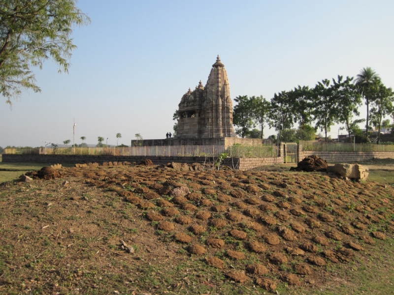 Индия 30.12.2014-11.01.2015 Агра Удайпур Кхаджурахо Варанаси Бодхгая Дели