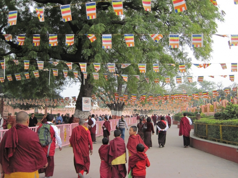 Индия 30.12.2014-11.01.2015 Агра Удайпур Кхаджурахо Варанаси Бодхгая Дели