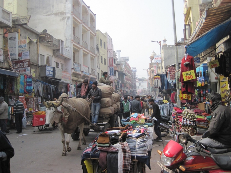 Индия 30.12.2014-11.01.2015 Агра Удайпур Кхаджурахо Варанаси Бодхгая Дели