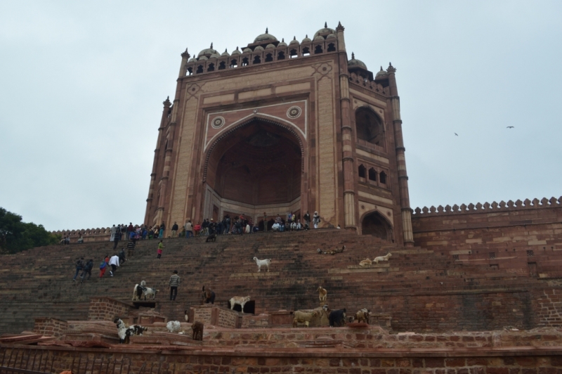 Индия 30.12.2014-11.01.2015 Агра Удайпур Кхаджурахо Варанаси Бодхгая Дели