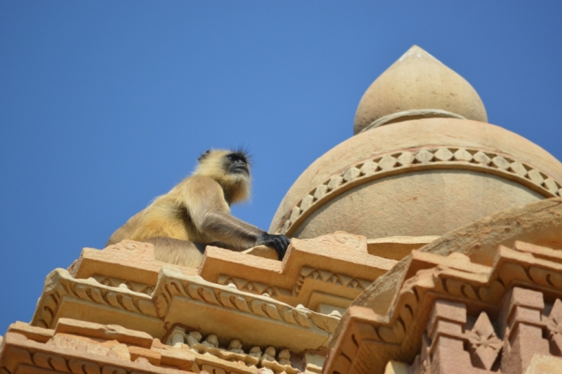 Индия 30.12.2014-11.01.2015 Агра Удайпур Кхаджурахо Варанаси Бодхгая Дели