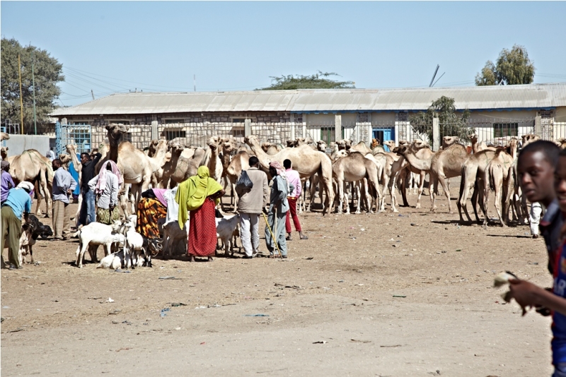 Сомалиленд и немного Джибути (фото).