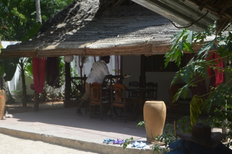 Танзания-Занзибар, январь 2015