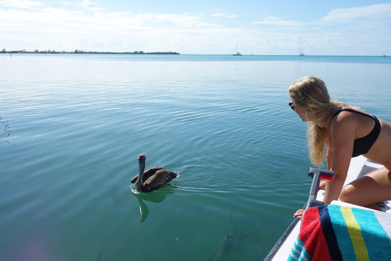 Мексика частями. Часть 1: до Белиза и обратно.