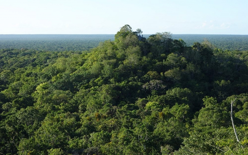 Мексика частями. Часть 1: до Белиза и обратно.