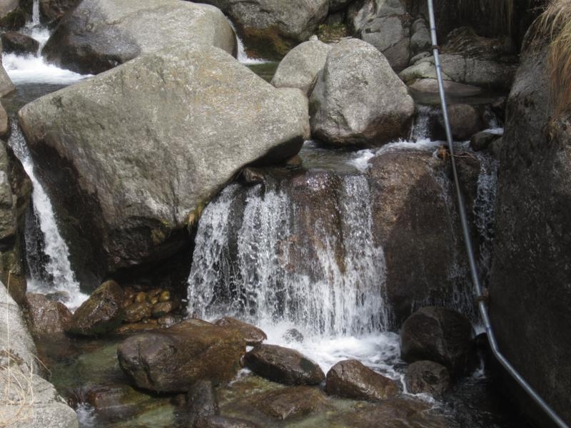 Индия (север: Варанаси, Бодхгая, Дармсала)