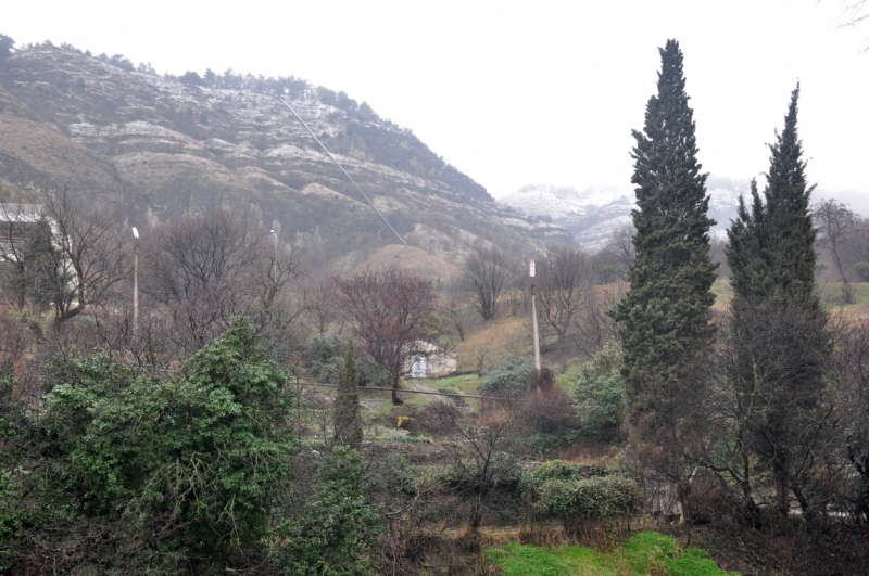 О Грузия! Страна цветов  Тебя немало воспевали...(много фото)