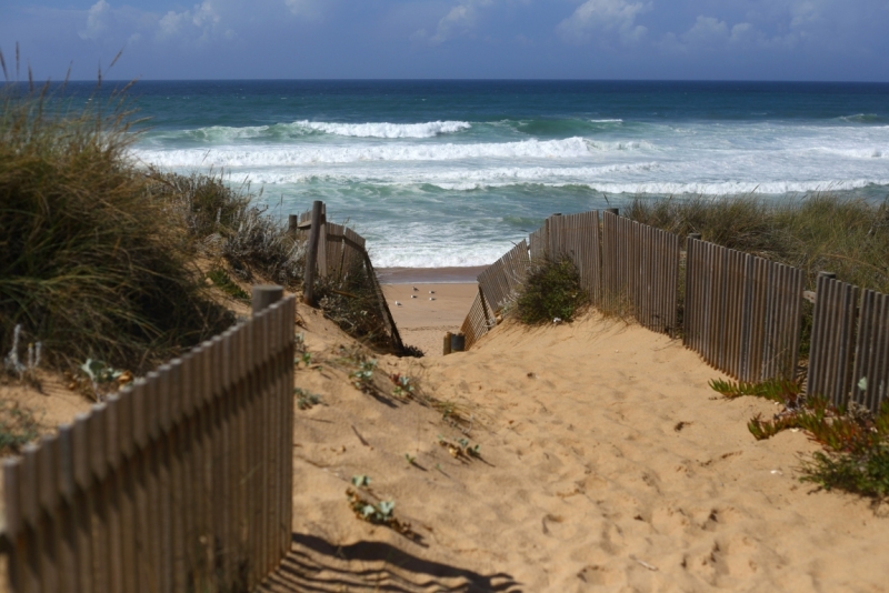 Две недели в Португалии: Лиссабон + Эрисейра. Сентябрь 2014 г. (Много фото)