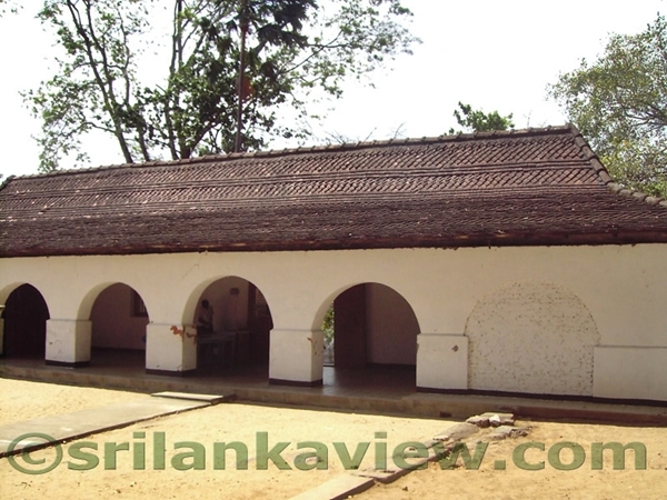 Шри-Ланкийские зарисовки. 2014--2015.