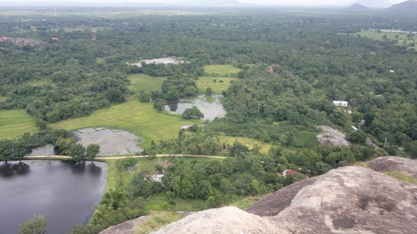 Шри-Ланкийские зарисовки. 2014--2015.
