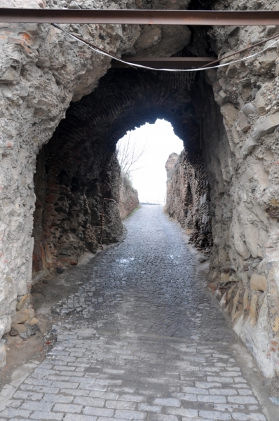 О Грузия! Страна цветов  Тебя немало воспевали...(много фото)