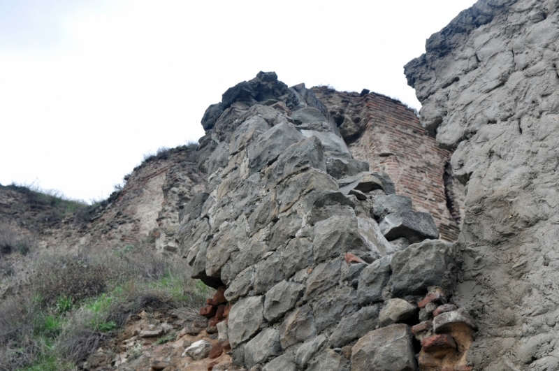 О Грузия! Страна цветов  Тебя немало воспевали...(много фото)