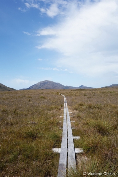 Тасмания, South Coast Track. Октябрь 2014