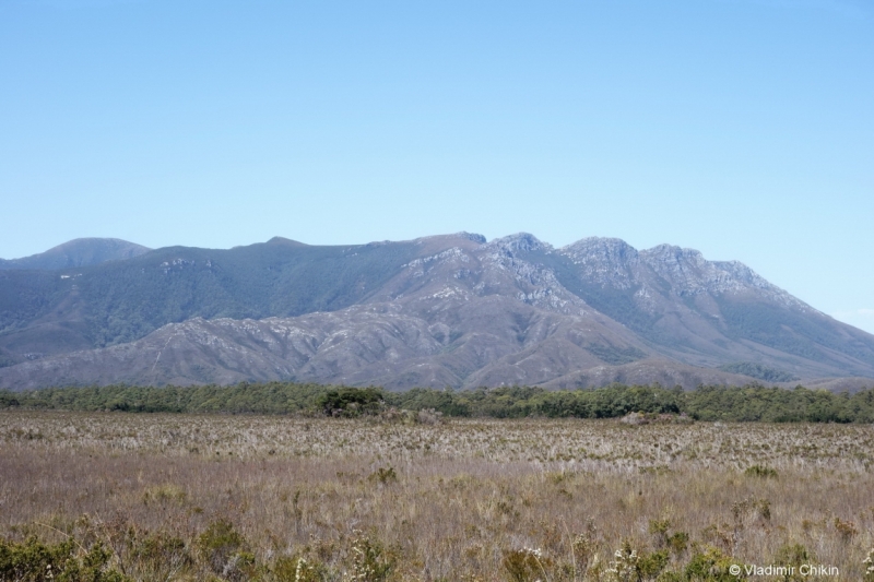 Тасмания, South Coast Track. Октябрь 2014