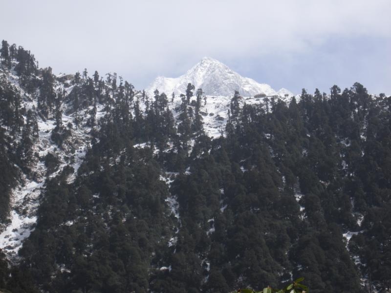 Индия (север: Варанаси, Бодхгая, Дармсала)