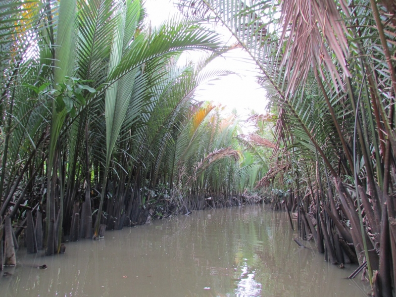 Хошимин-Фукуок-Муйнэ Ноябрь 2014г. Много фото, экскурсий.
