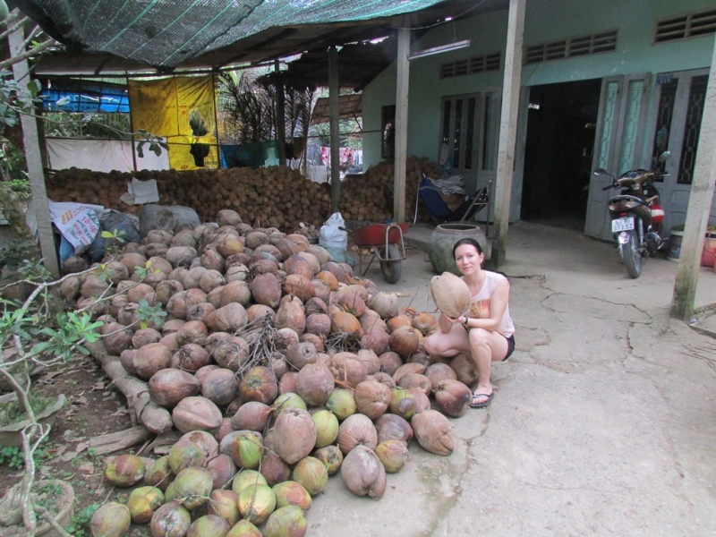 Хошимин-Фукуок-Муйнэ Ноябрь 2014г. Много фото, экскурсий.