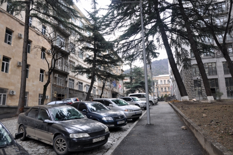 О Грузия! Страна цветов  Тебя немало воспевали...(много фото)