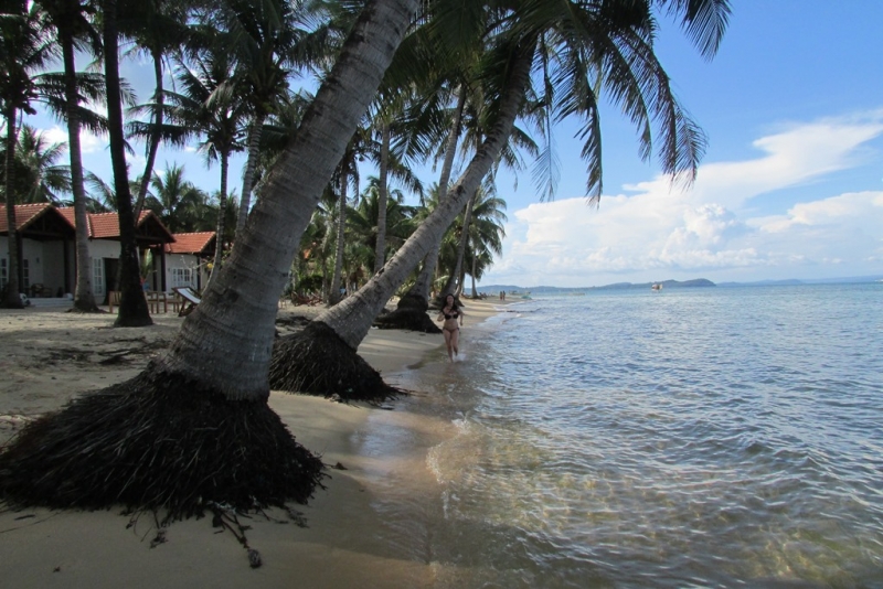 Хошимин-Фукуок-Муйнэ Ноябрь 2014г. Много фото, экскурсий.