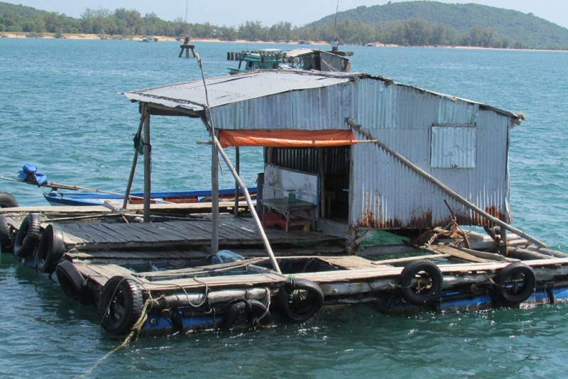 Хошимин-Фукуок-Муйнэ Ноябрь 2014г. Много фото, экскурсий.