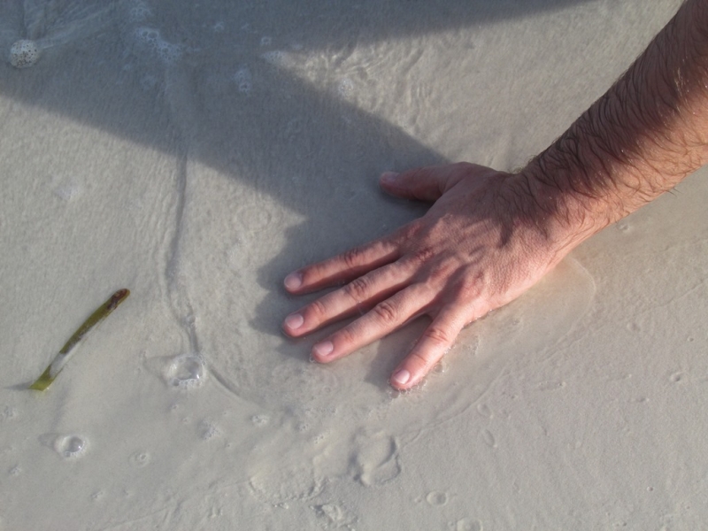 Хошимин-Фукуок-Муйнэ Ноябрь 2014г. Много фото, экскурсий.