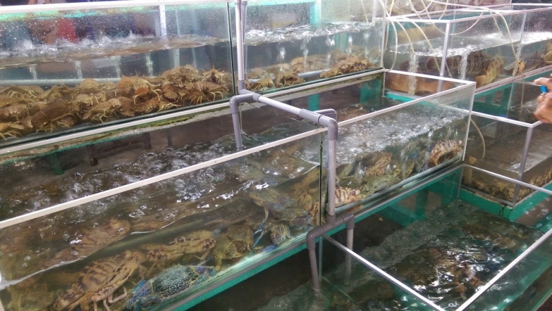 Хошимин-Фукуок-Муйнэ Ноябрь 2014г. Много фото, экскурсий.