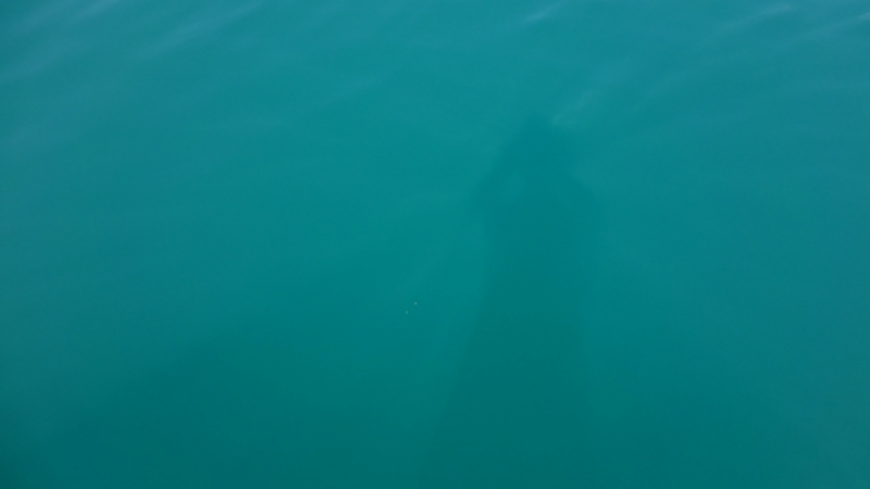 Лазурный берег в июле на неделю. Вопросики