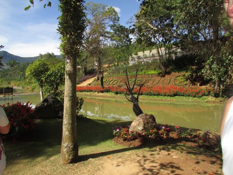 Хошимин-Фукуок-Муйнэ Ноябрь 2014г. Много фото, экскурсий.