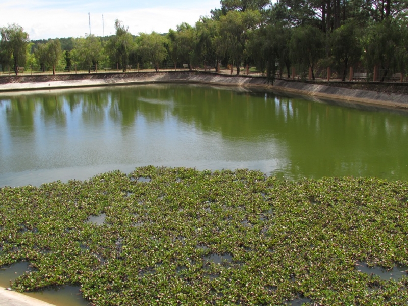 Хошимин-Фукуок-Муйнэ Ноябрь 2014г. Много фото, экскурсий.