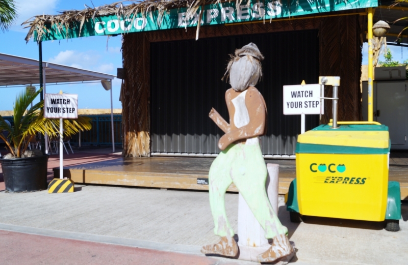 Перворазники на Карибах: круиз на P&O Ventura