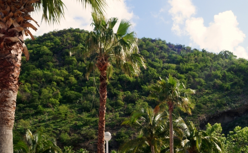 Перворазники на Карибах: круиз на P&O Ventura