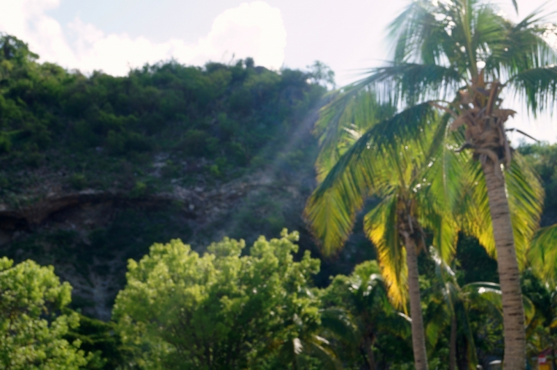 Перворазники на Карибах: круиз на P&O Ventura