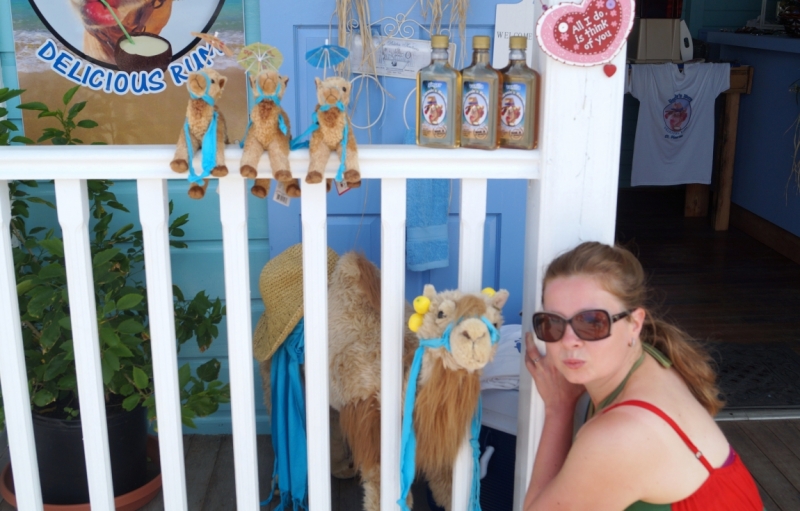 Перворазники на Карибах: круиз на P&O Ventura