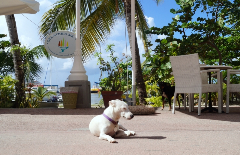 Перворазники на Карибах: круиз на P&O Ventura